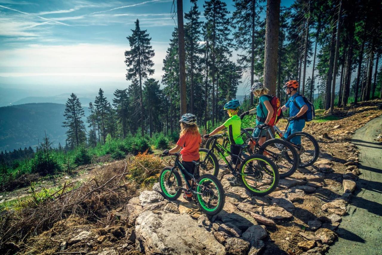 Mountain Apartment Panorama Klinovec Loučná pod Klínovcem エクステリア 写真